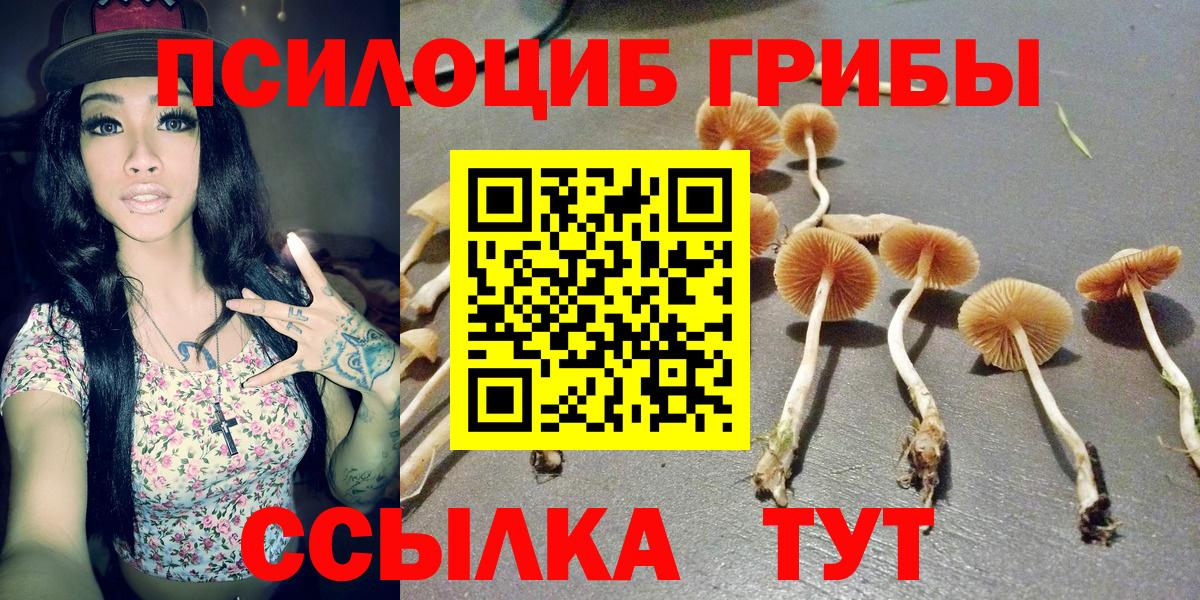 LSD-25  Меф МЯУ МЯУ  Конопля  Мефедрон   Вход с VPN  Отрадный  Гашиш 
