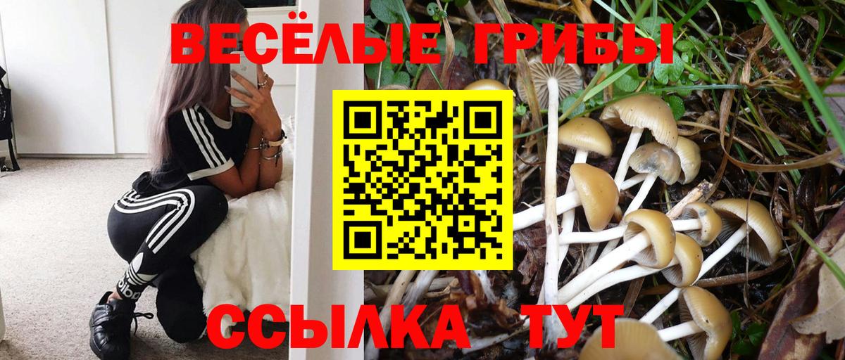 Псилоцибиновые грибы прущие грибы Отрадный