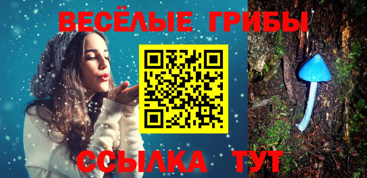 Отрадный  где найти   Вход с VPN  Псилоцибиновые грибы мицелий 