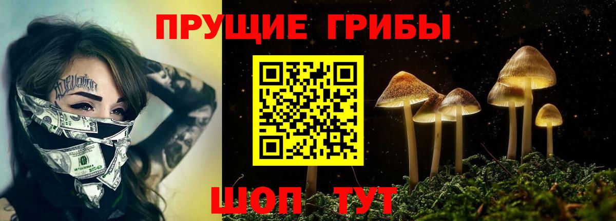 ГАШ Отрадный